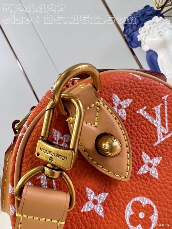 Louis Vuitton SPEEDY 25 0717